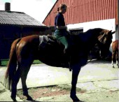 Anika auf ihrem Pferd Lissy